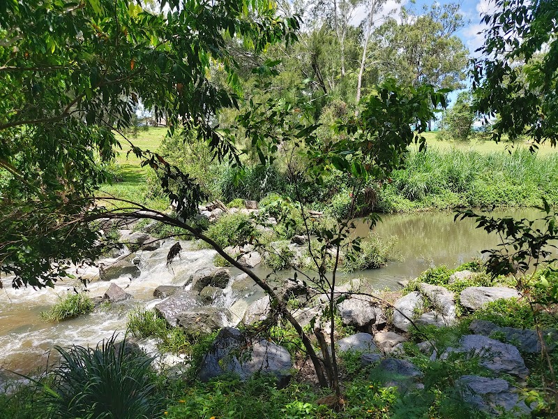 Teralba Park photo 3