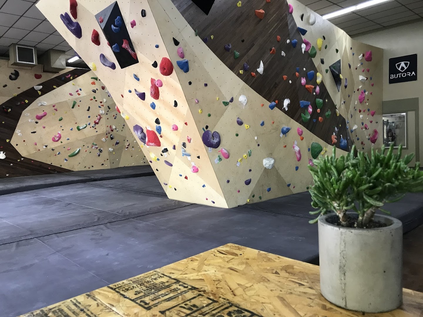 Photo of Terrain Park Climbing Center Chico, CA in California