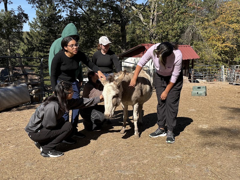 TevaLand Sanctuary Farm photo 2