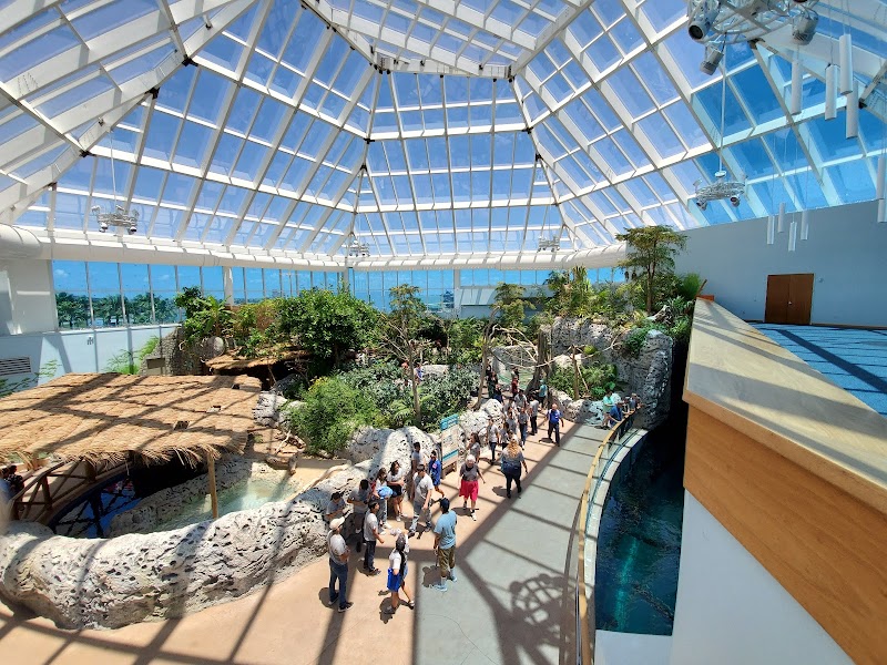 Texas State Aquarium photo 2