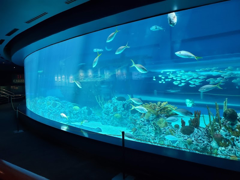 Texas State Aquarium photo 3