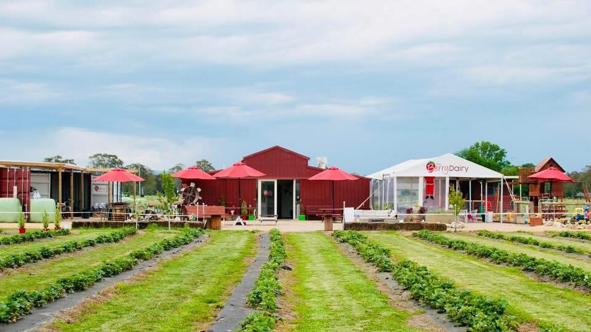 The Berry Dairy photo 2