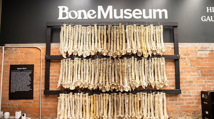 The Bone Museum photo 3