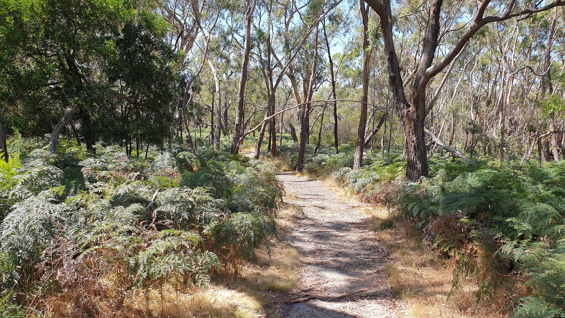 The Briars Wildlife Sanctuary