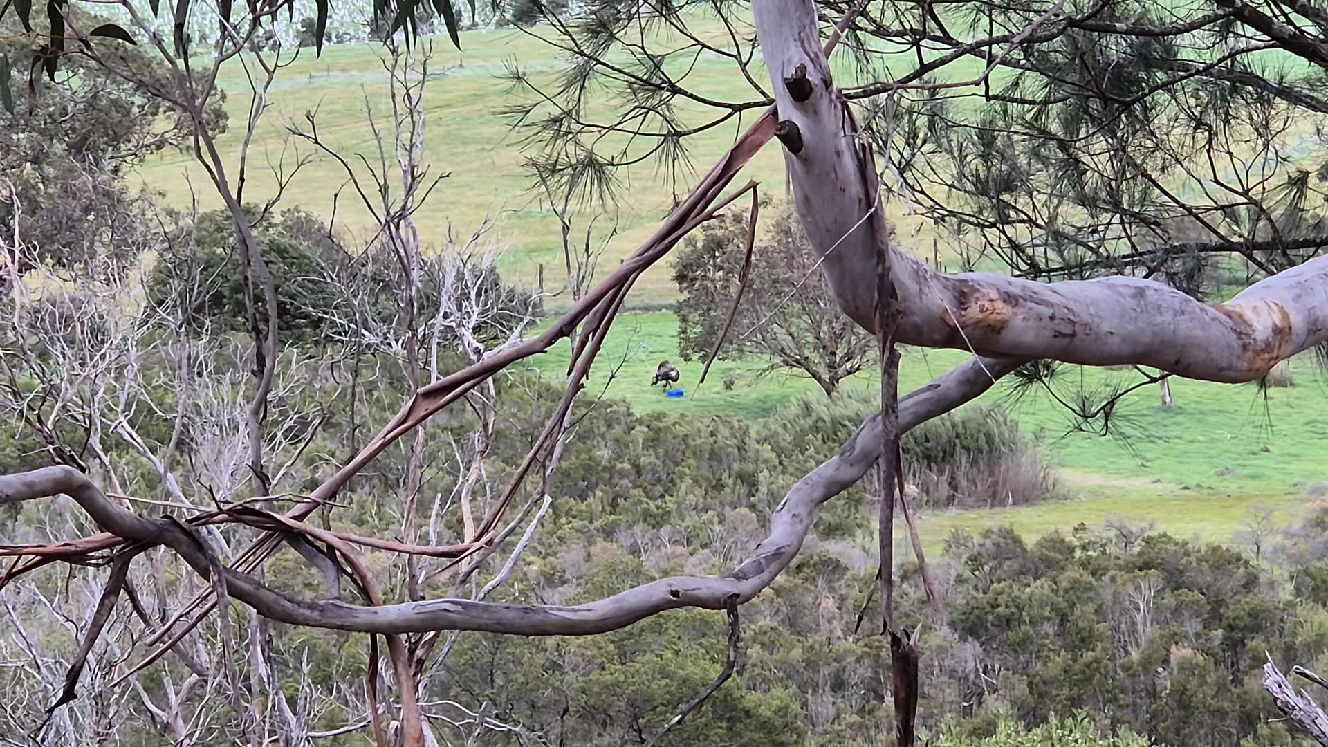The Briars Wildlife Sanctuary photo 2