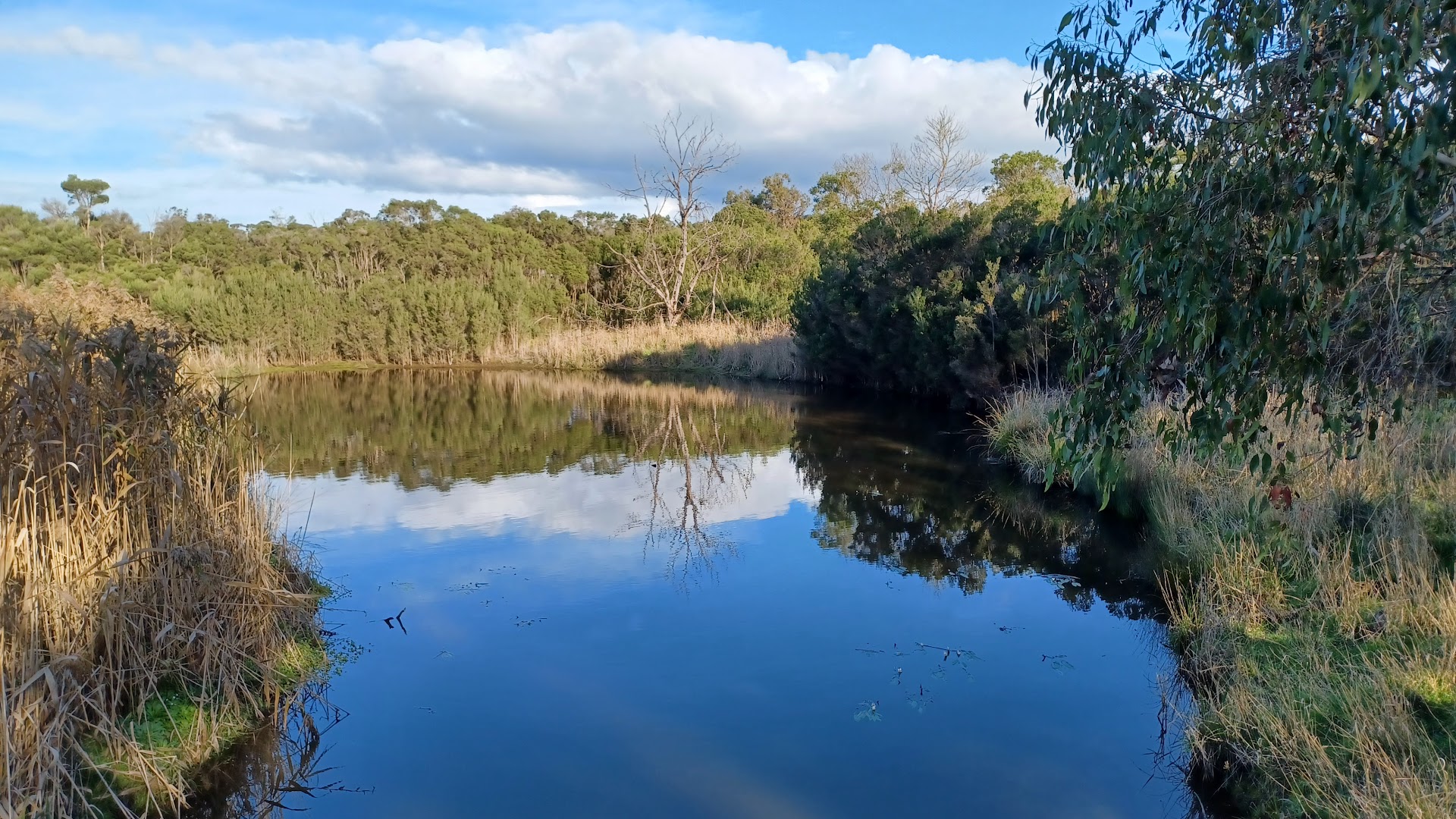 The Briars Wildlife Sanctuary photo 3