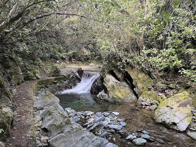 The Brook Waimarama Sanctuary photo 3