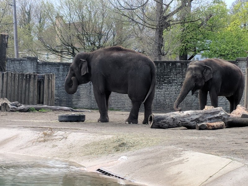 The Buffalo Zoo photo 2