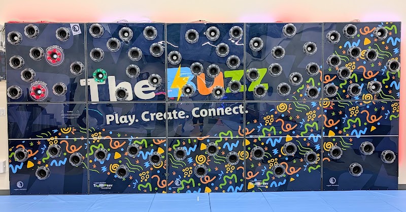The Buzz