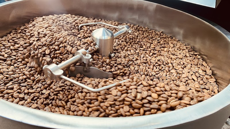The Caffeine Experience | TSV