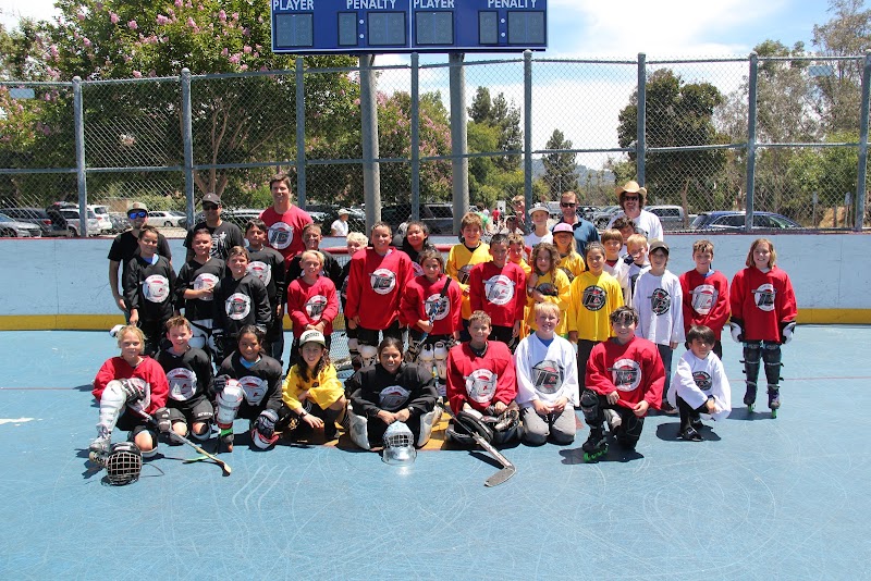 The Cage Roller Hockey Rink photo 2
