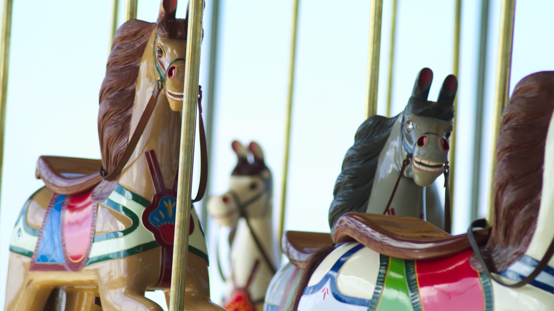 The Carousel, Waterfront Geelong