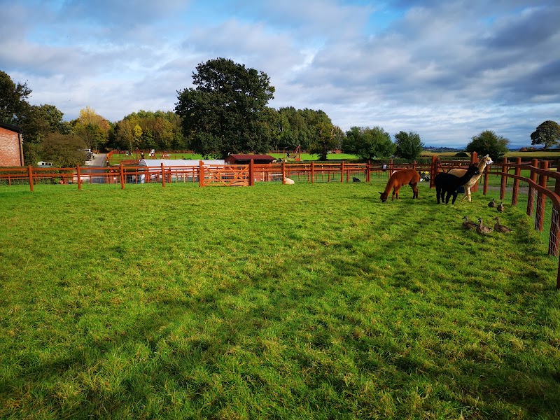 The Children's Adventure Farm Trust