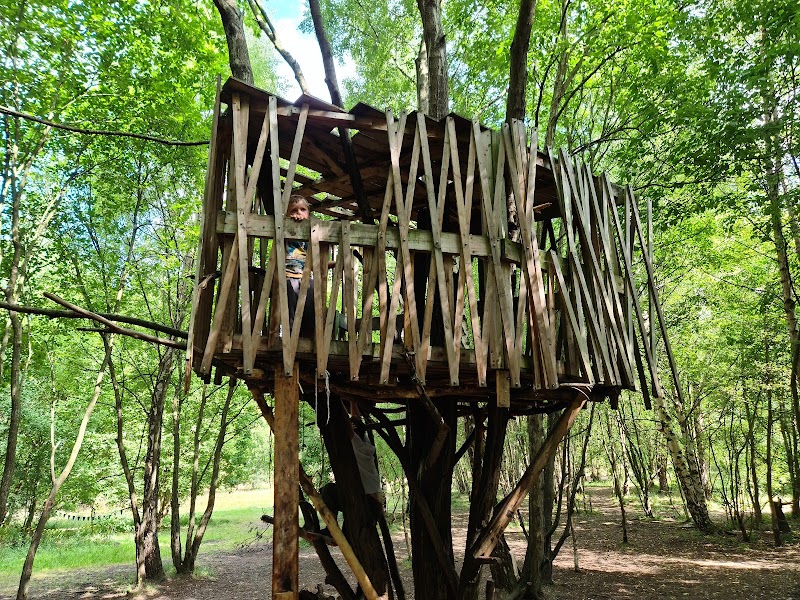 The Childrens Wood and North Kelvin Meadow