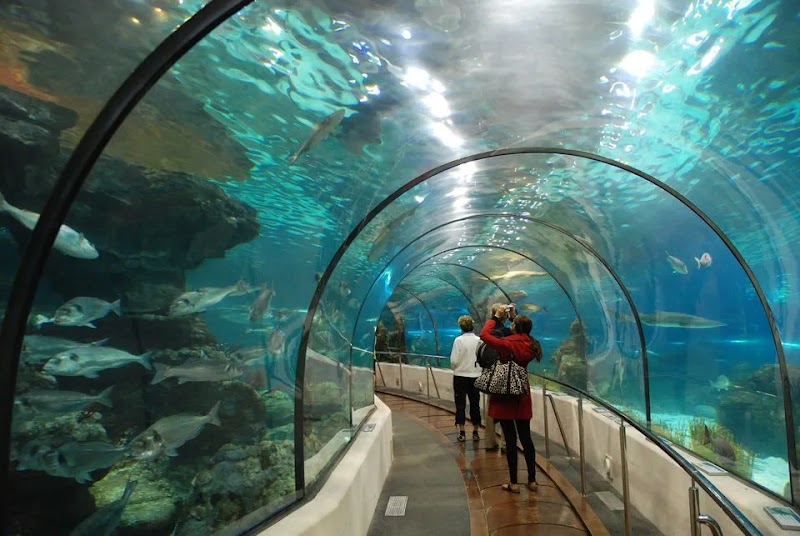 The Dallas World Aquarium photo 2