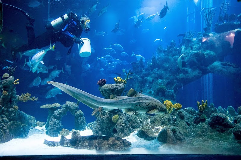The Deep photo 3