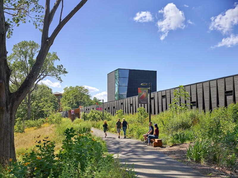 The Discovery Center