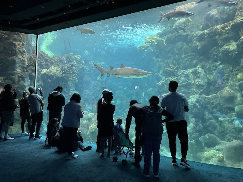 The Florida Aquarium
