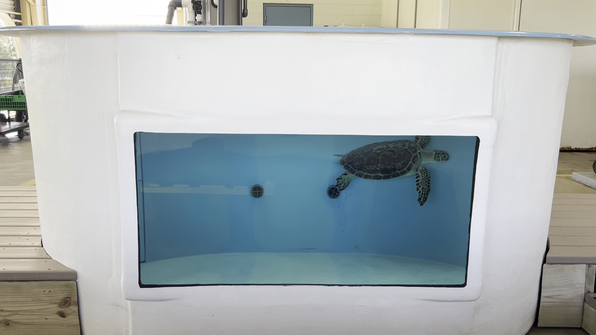 The Florida Aquarium Sea Turtle Rehabilitation Center