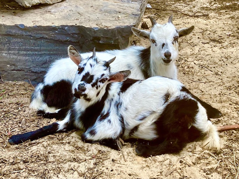 the Francisco Family Farm photo 2