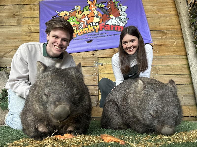 The Funky Farm (Bookings Only)