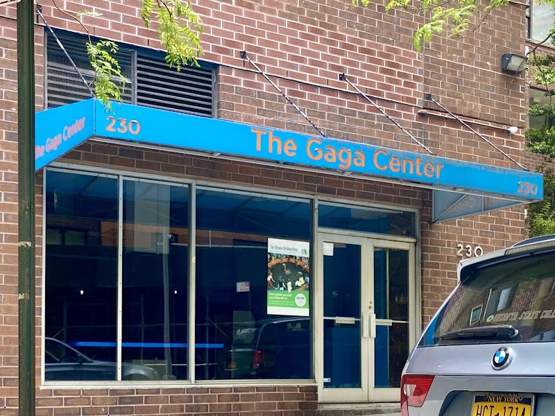 The Gaga Center photo 2