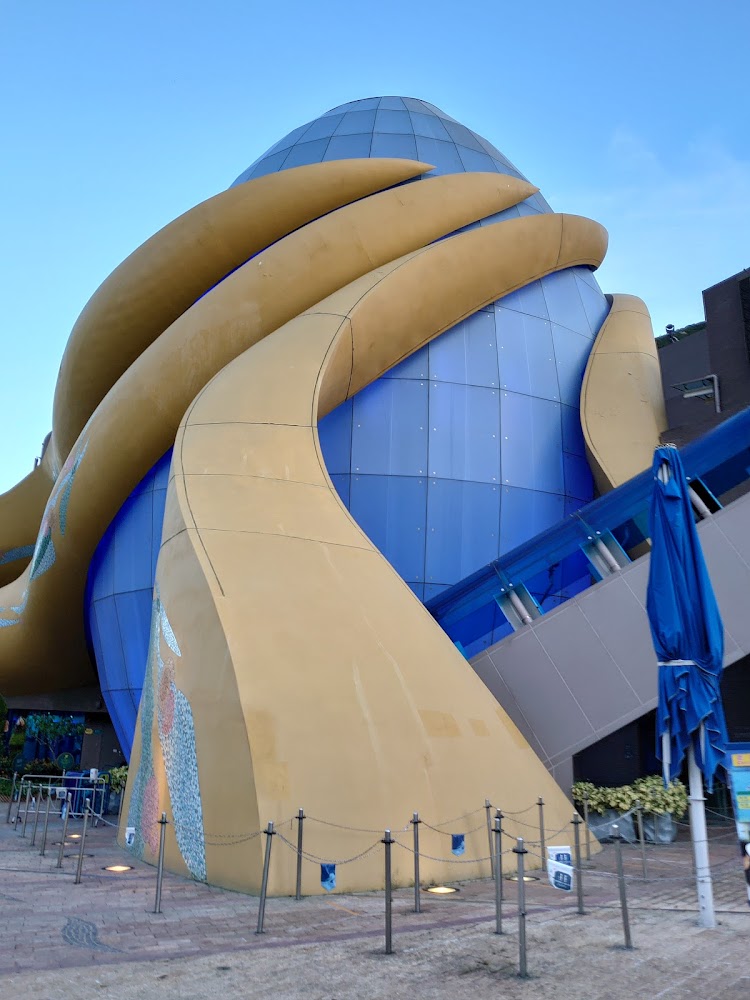 The Grand Aquarium photo 2