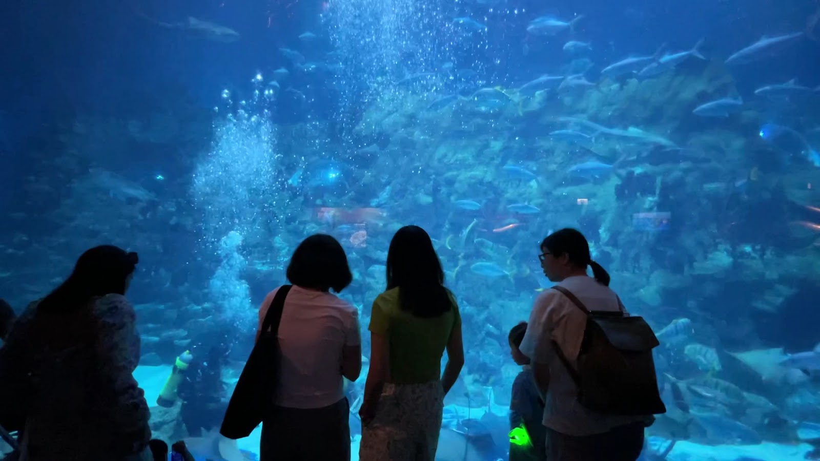 The Grand Aquarium photo 3