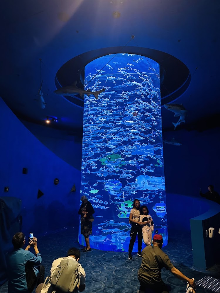 The Grand Aquarium photo 4