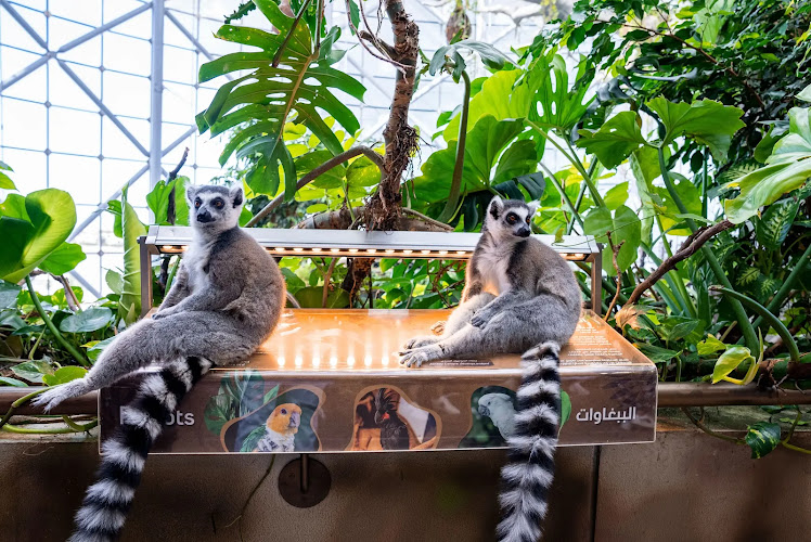 The Green Planet Dubai