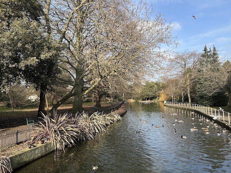 The Grove