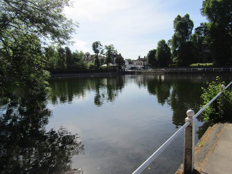 The Grove photo 3