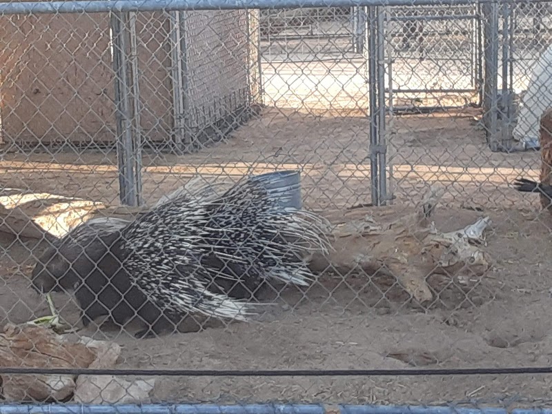 The Hesperia Zoo