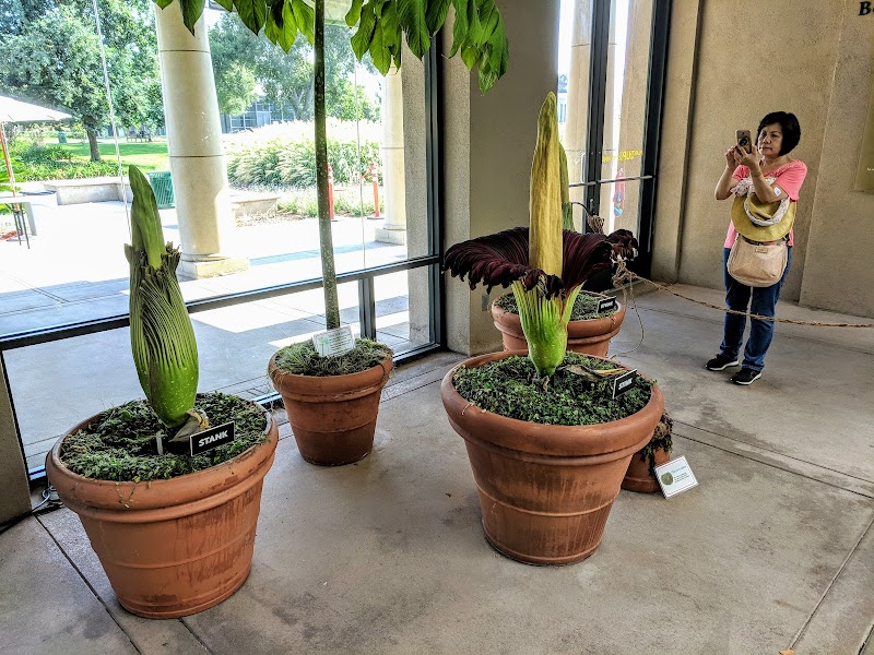 The Huntington's Rose Hills Foundation Conservatory for Botanical Science photo 2