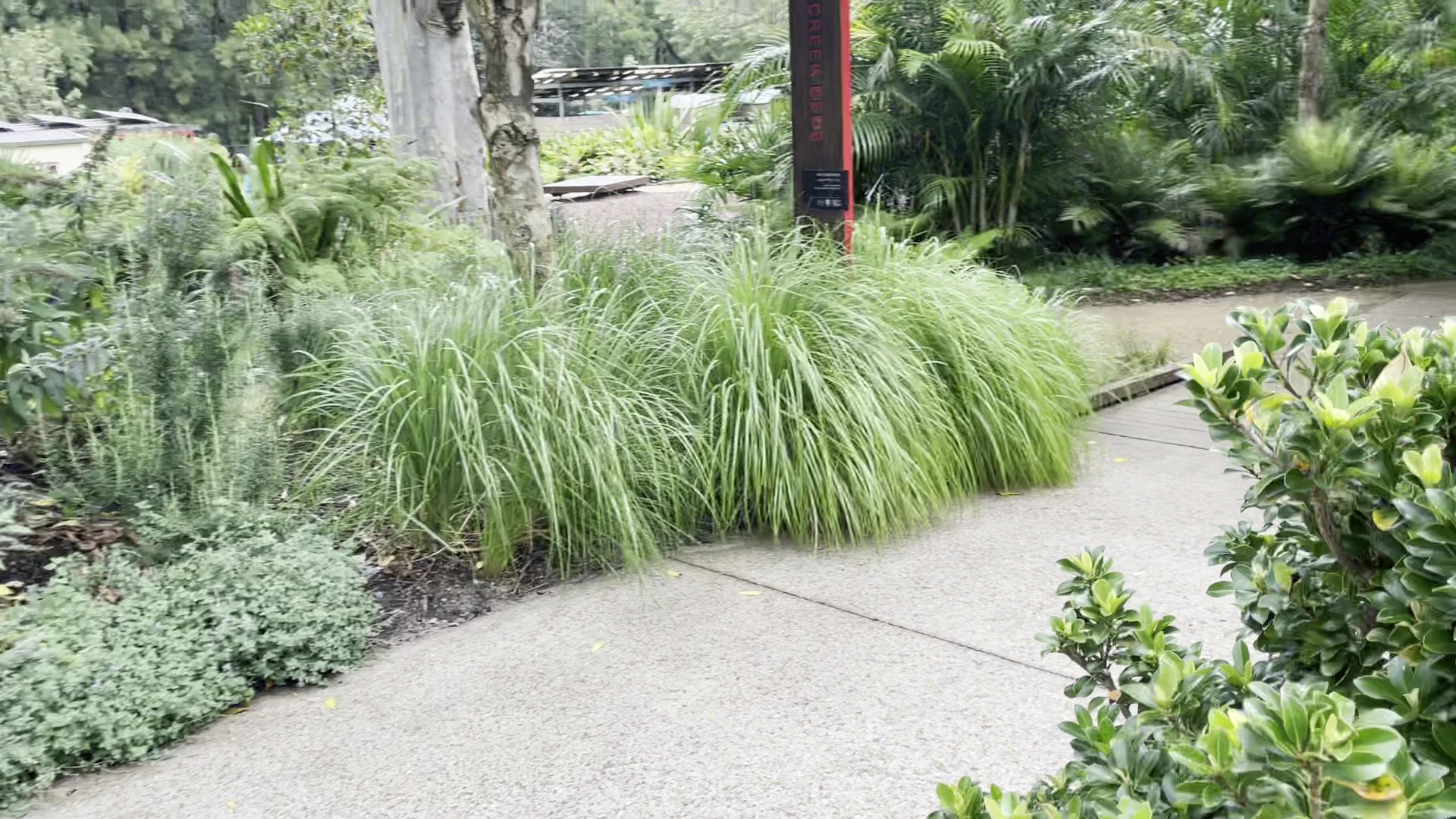 The Ian Potter Children’s Wild Play Garden photo 3