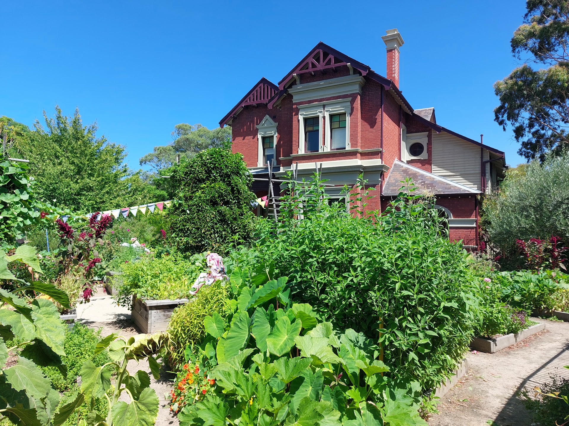 The Ian Potter Foundation Children's Garden photo 3