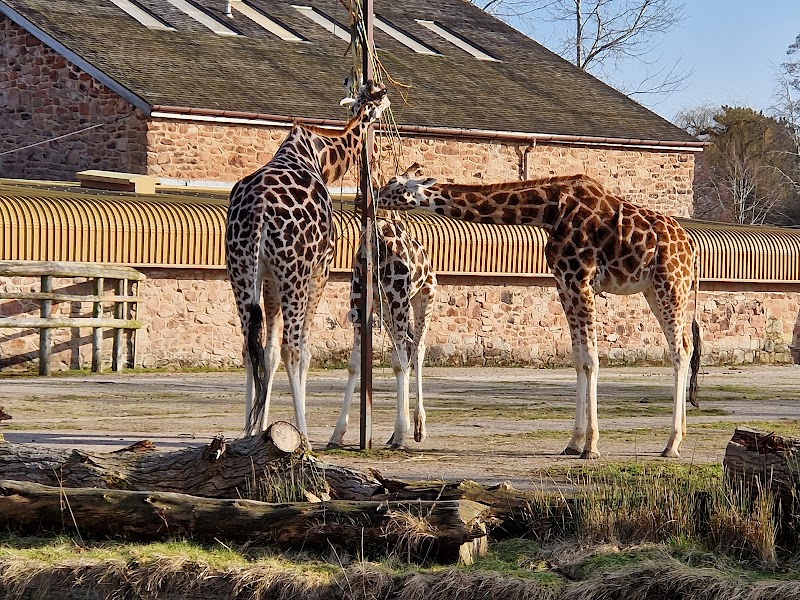 The Islands at Chester Zoo