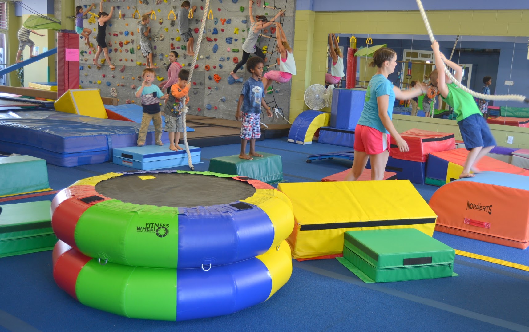 The Jungle Gym photo 2