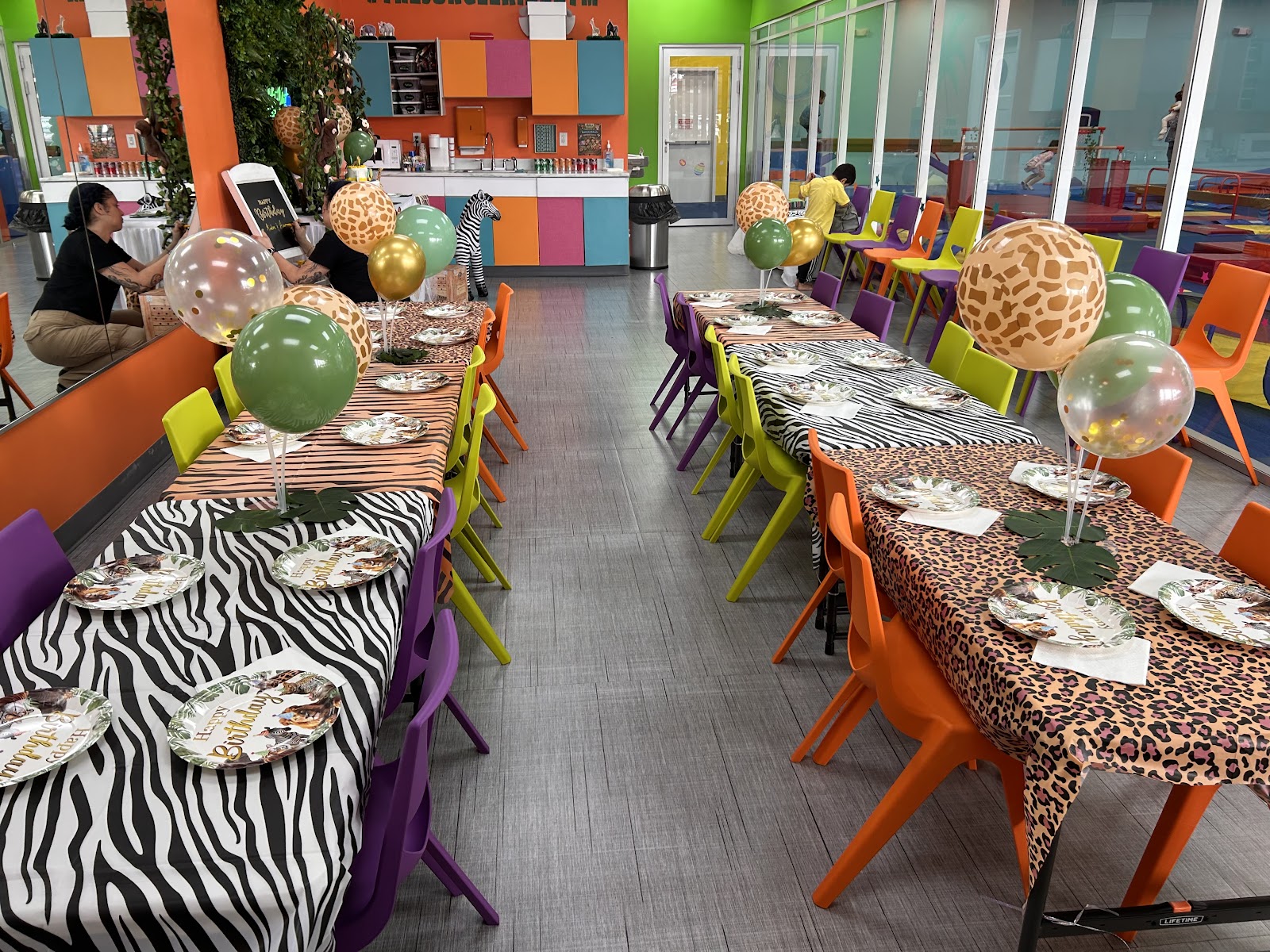 The Jungle Kids Gym