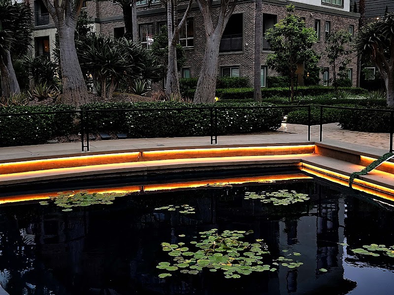 The Lawn - Rope Playground