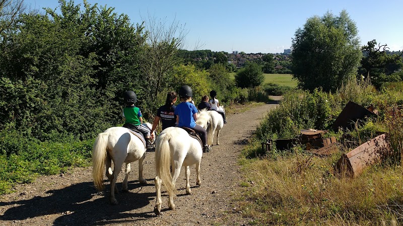 The London Equestrian Centre