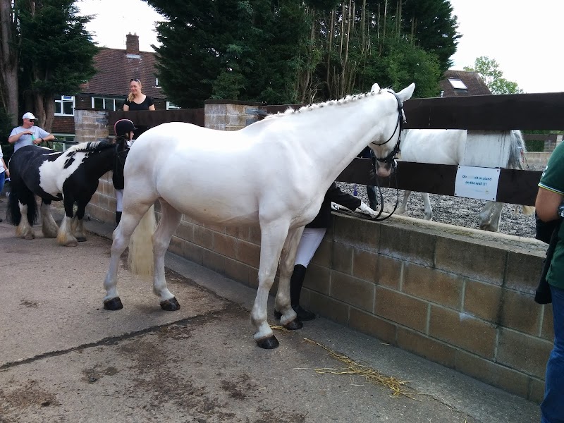 The London Equestrian Centre photo 2