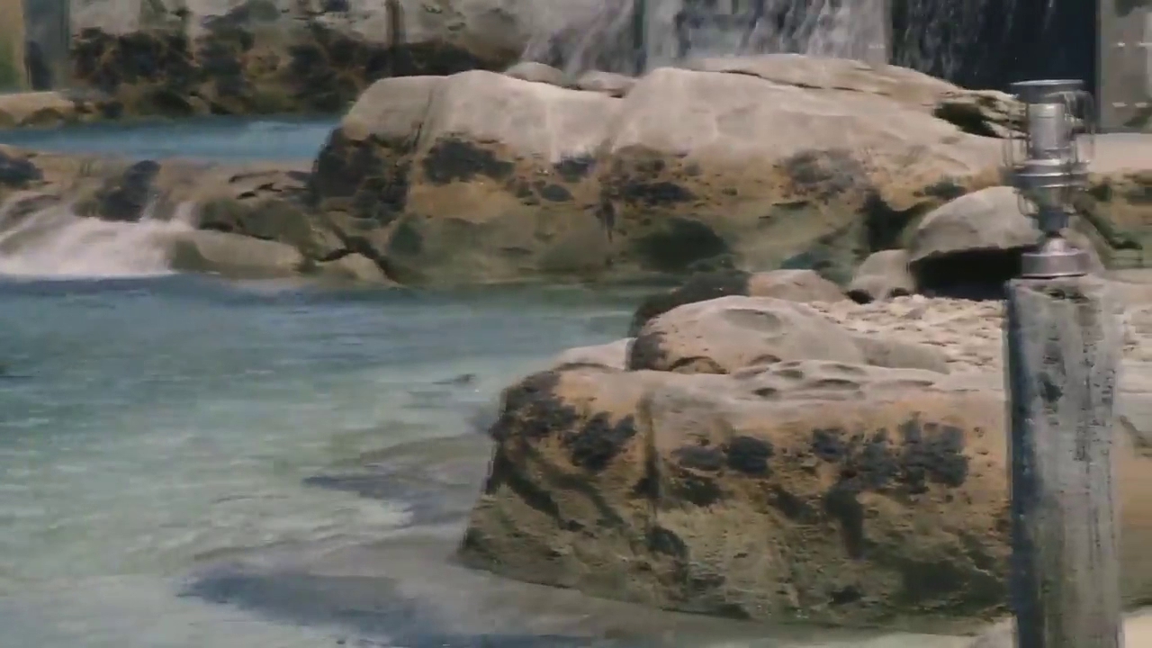 The Maryland Zoo in Baltimore photo 2
