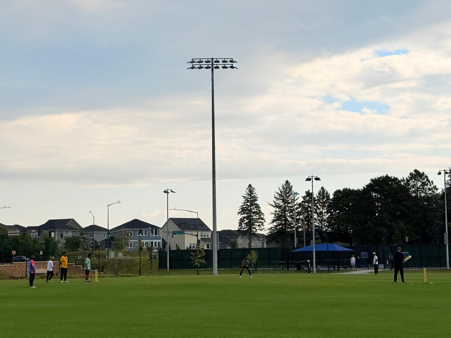 The Meadows Playfield photo 2