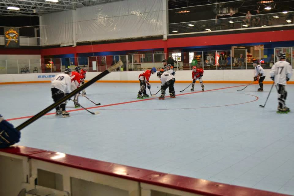 The New Rink photo 2