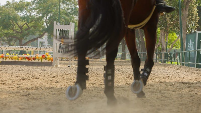The Paddock Riding Club