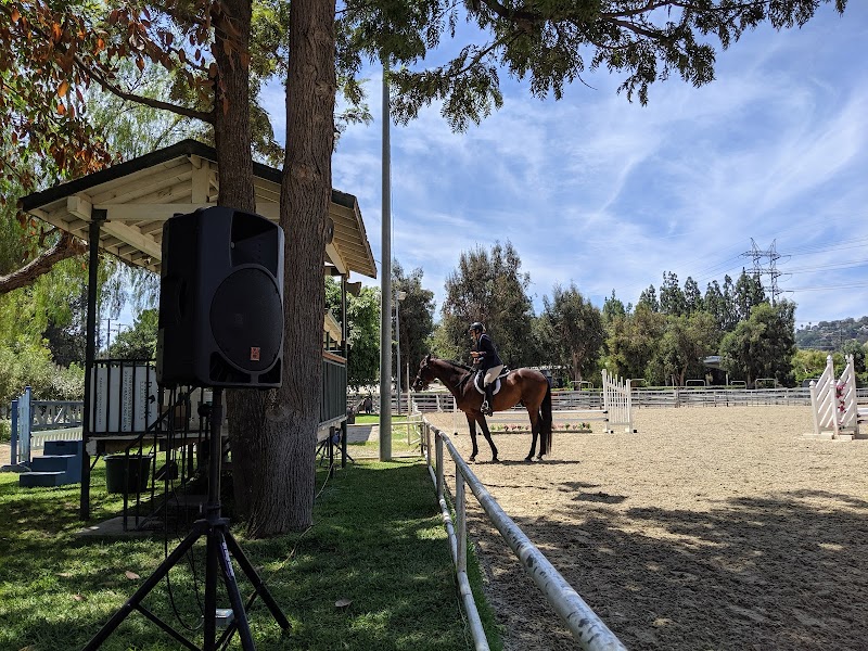 The Paddock Riding Club photo 2