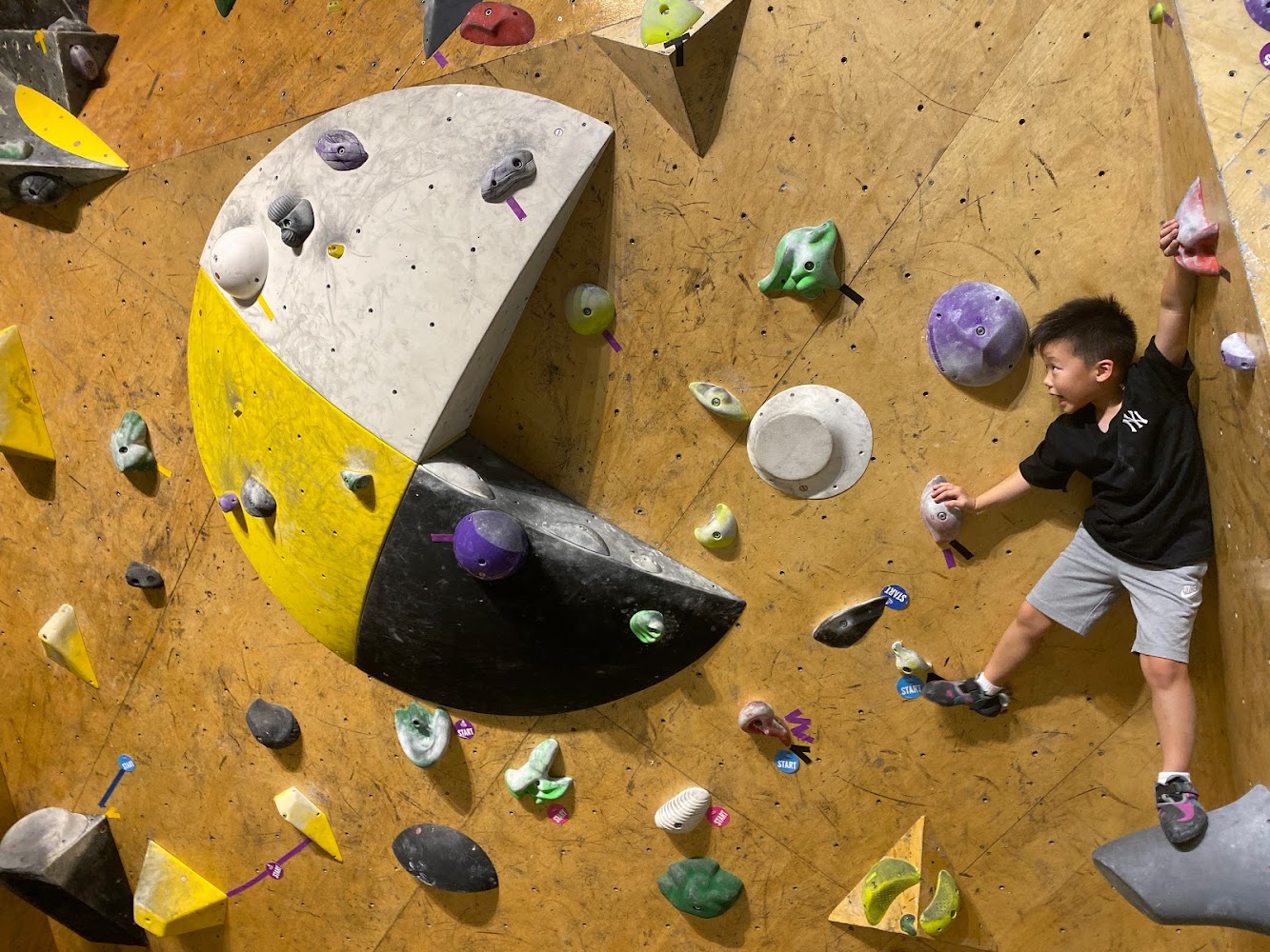 The Player Climbingym photo 4