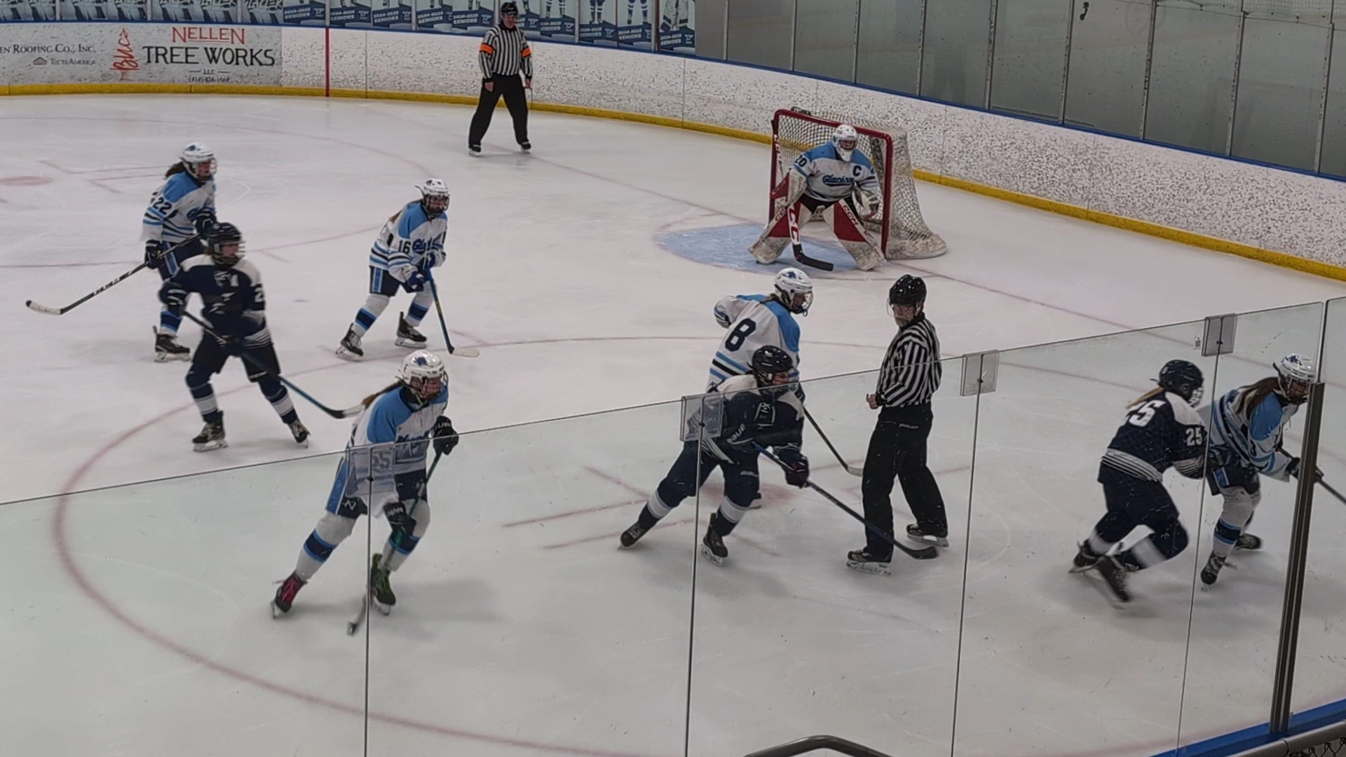 The Ponds of Brookfield Ice Arena photo 2