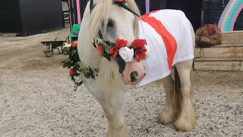 The Ramblers Riding Club & Pony Parties